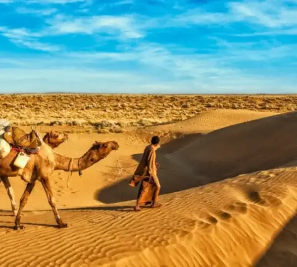 Travunique Holidays -Travel with us