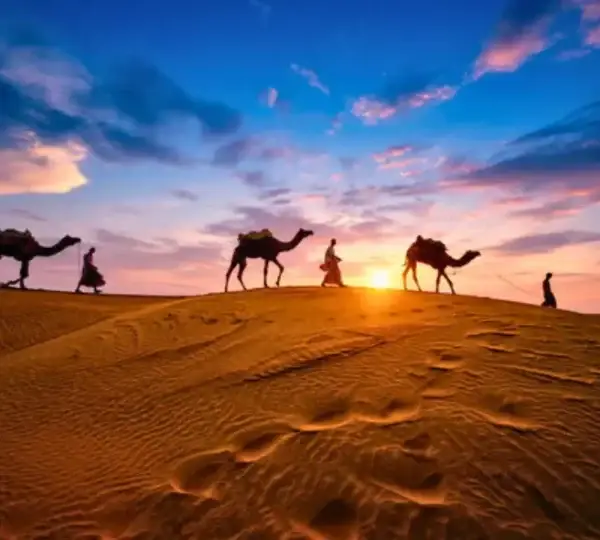Travunique Holidays -Travel with us