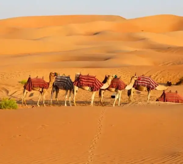Travunique Holidays -Travel with us