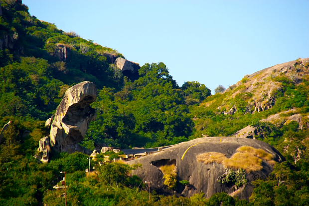 abu-todd-rock