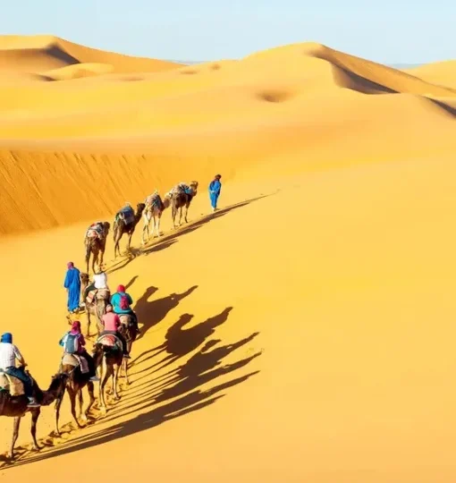 Travunique Holidays -Travel with us