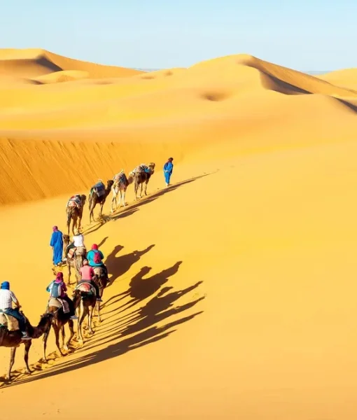Desert Safari